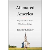 Alienated America