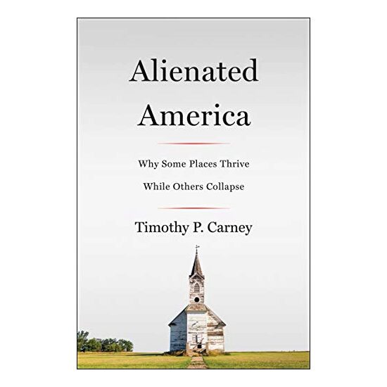 Alienated America