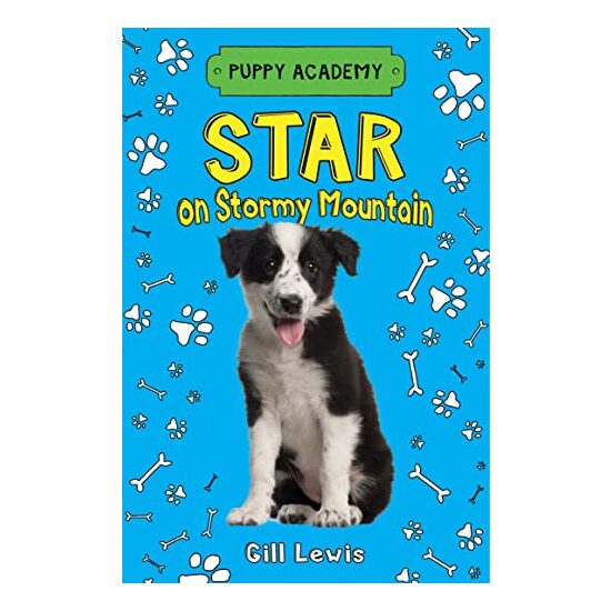 Star on Stormy Mountain