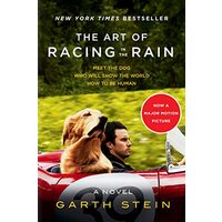 The Art Of Racing In The Rain
