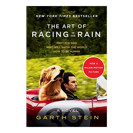 The Art Of Racing In The Rain