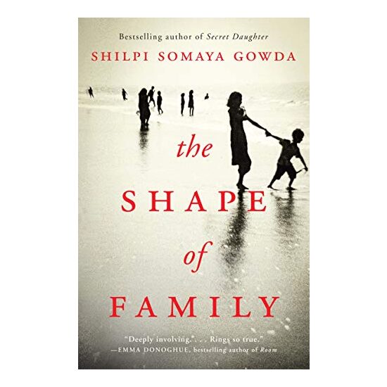 The shape of family : a novel