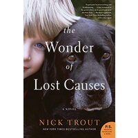 The Wonder of Lost Causes