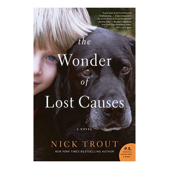 The Wonder of Lost Causes