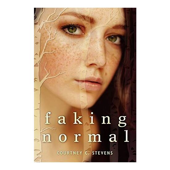 Faking normal - Imagine 1