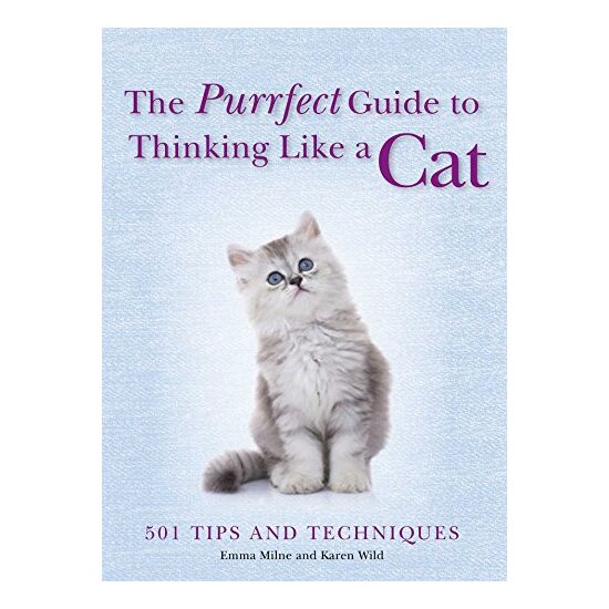 The purrfect guide to thinking like a cat