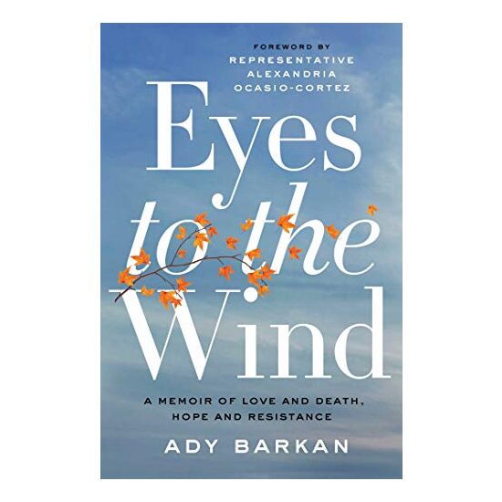 Eyes To The Wind