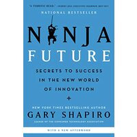 Ninja Future