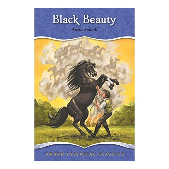 Black Beauty - Imagine 1