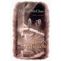 Rain Mirror