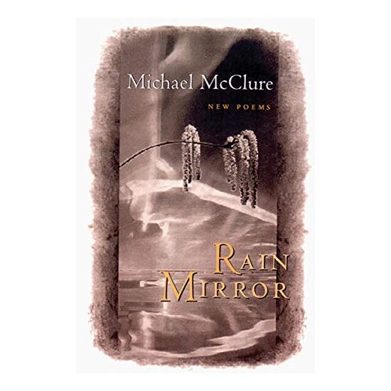 Rain Mirror