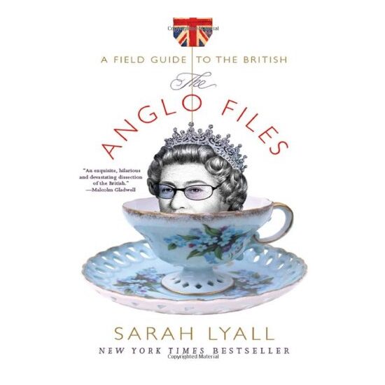 Anglo files - Imagine 1