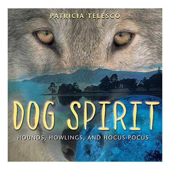 Dog Spirit