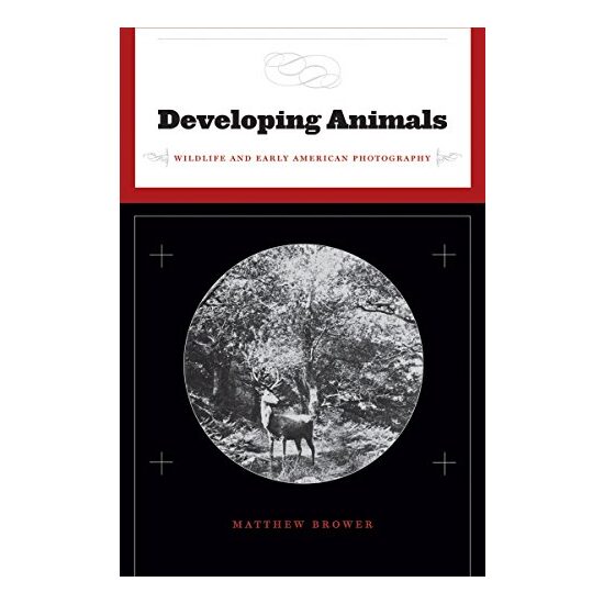 Developing Animals