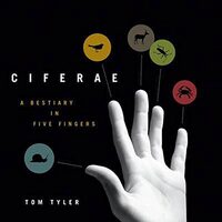 Ciferae