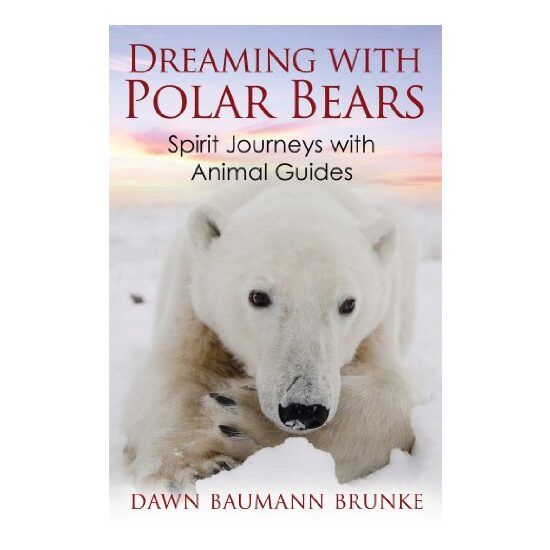 Dreaming with Polar Bears - Imagine 1