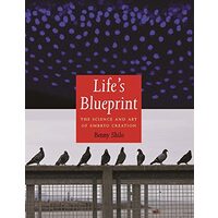 Life's blueprint