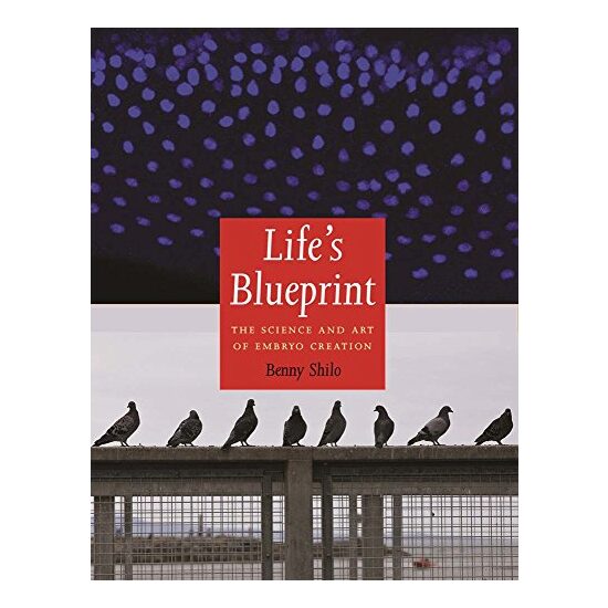 Life's blueprint