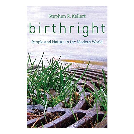 Birthright - Imagine 1