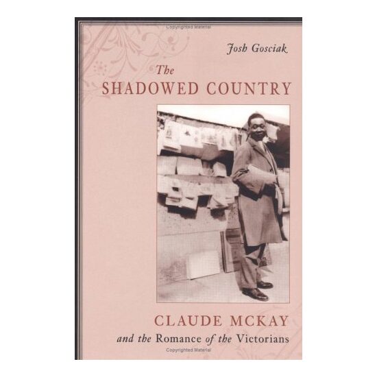 The Shadowed Country - Imagine 1