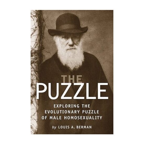 The Puzzle - Imagine 1