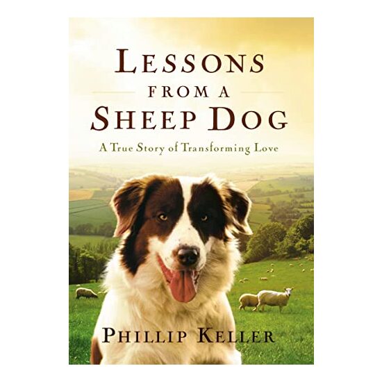 Lessons from a Sheep Dog