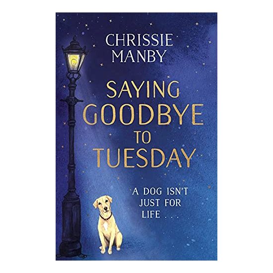 Saying Goodbye to Tuesday - Imagine 1