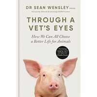 Through a Vet's Eyes