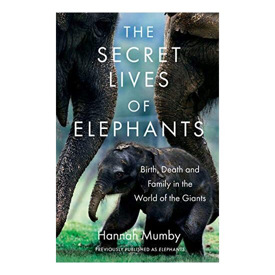 Secret Lives of Elephants