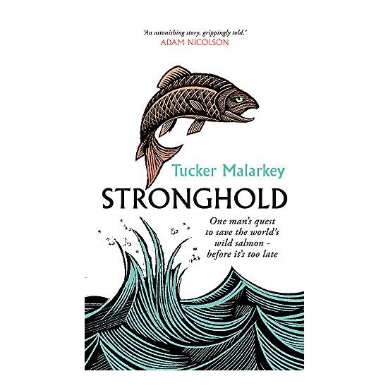 Stronghold - Imagine 1