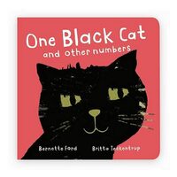 One Black Cat and Other Numbers