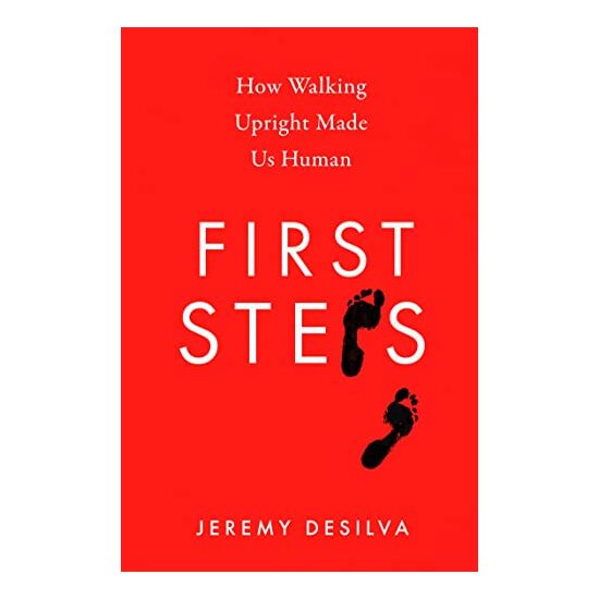First Steps