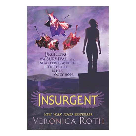 Insurgent - Imagine 1