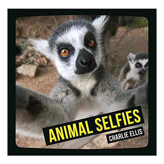 Animal Selfies - Imagine 1