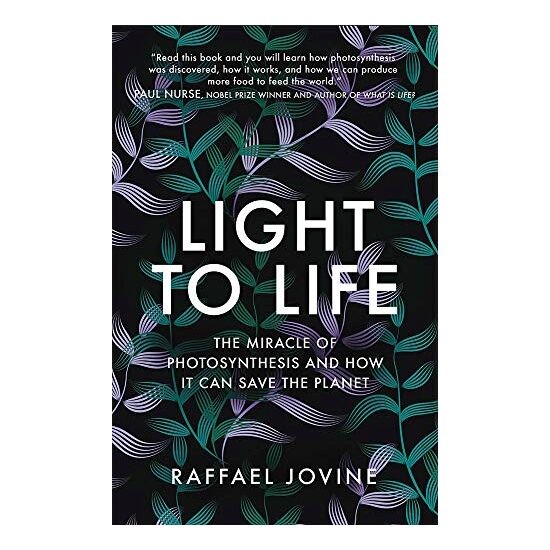 Light to Life