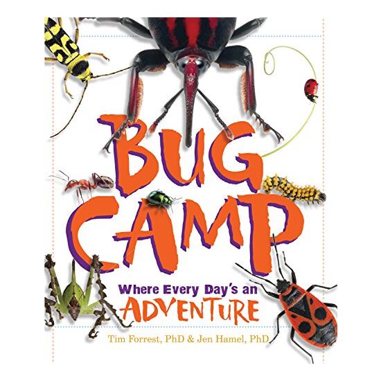 Bug Camp