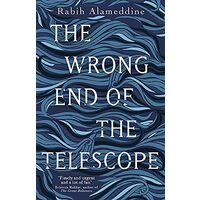 Wrong End of the Telescope, Rabih Alameddine