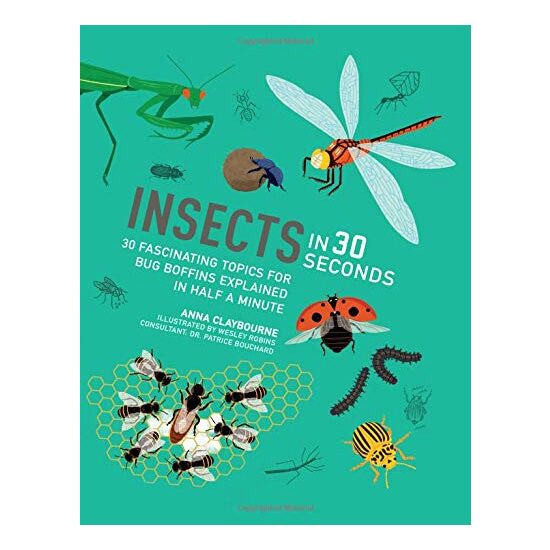 Insects in 30 Seconds