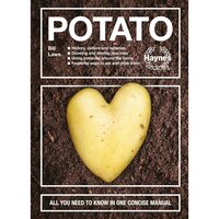 Potato