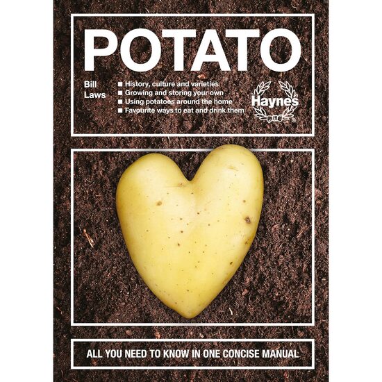 Potato