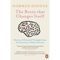 The Brain That Changes Itself