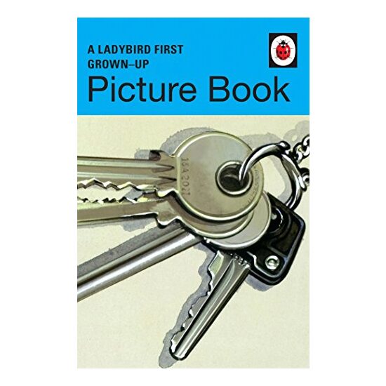 Ladybird First Grown-Up Picture Book