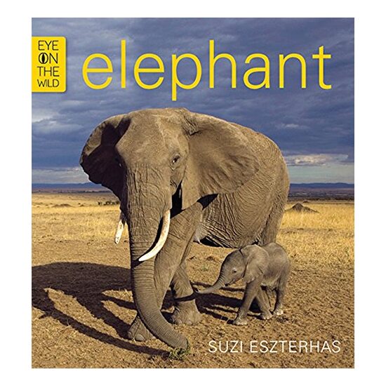 Elephant - Imagine 1