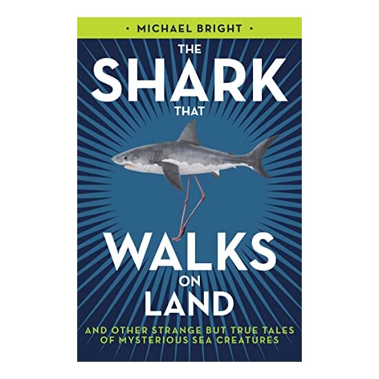 Shark That Walks on Land - Imagine 1