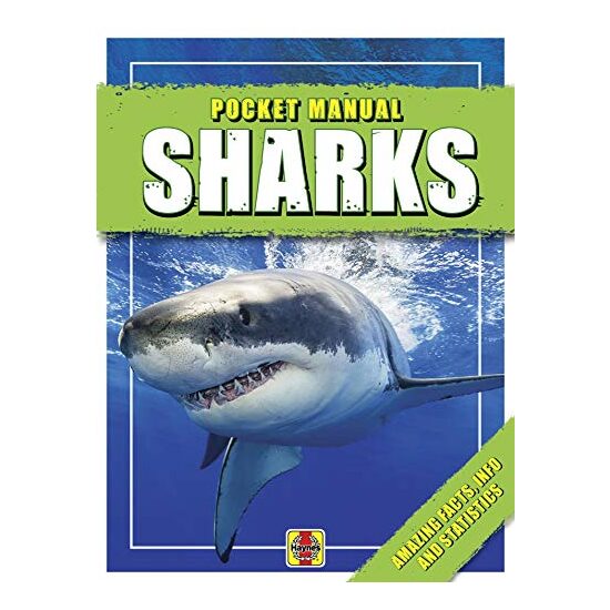 Sharks - Imagine 1