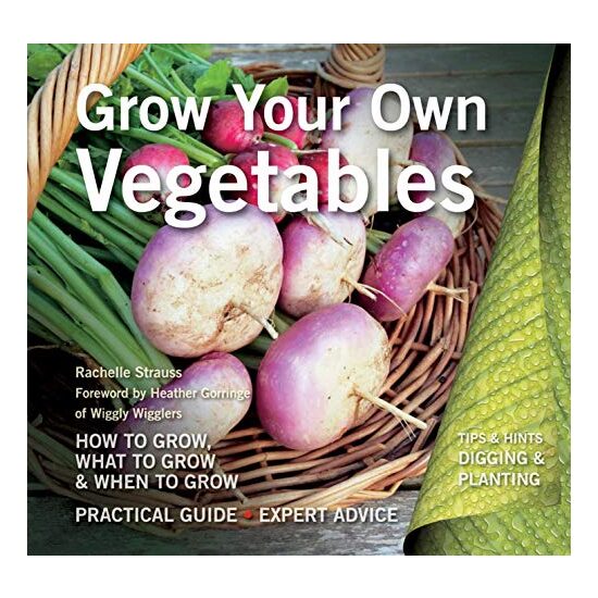 Grow your own vegetables - Imagine 1