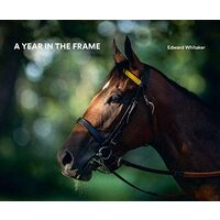 A Year in the Frame