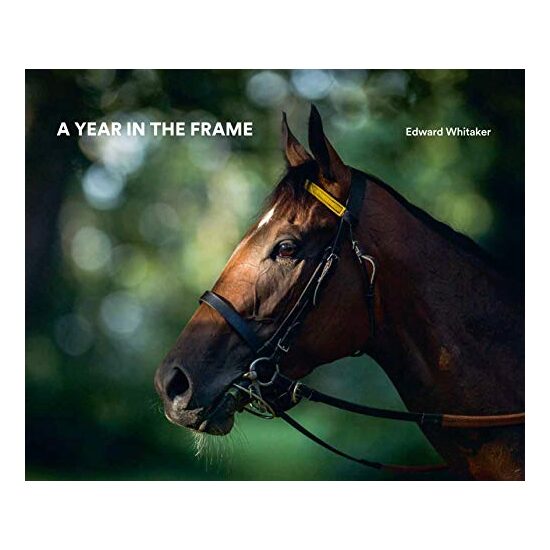 A Year in the Frame