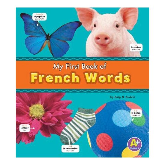 My First Book of French Words - Bilingual Picture Dictionaries