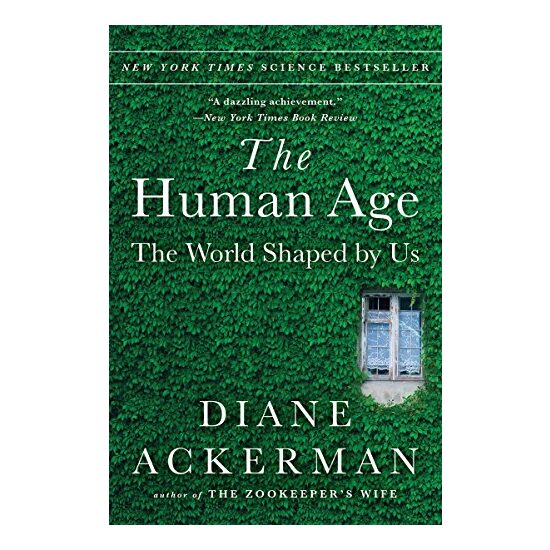 Human Age - Imagine 1